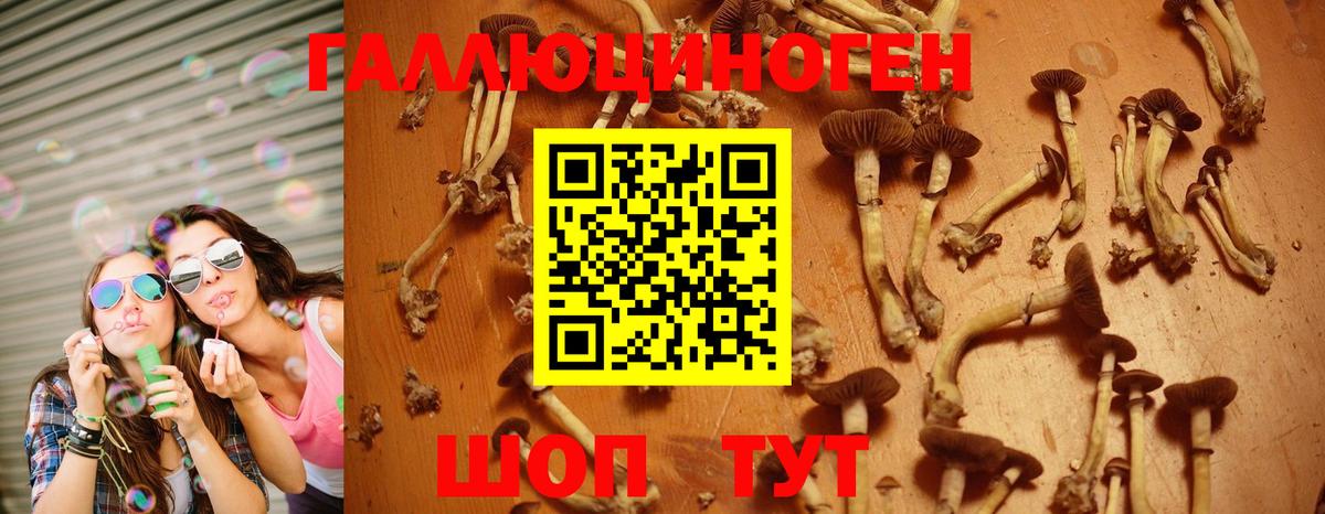 Псилоцибиновые грибы ЛСД  Вход с VPN  Минеральные Воды 